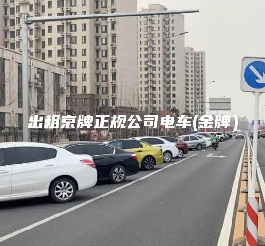 出租京牌正规公司电车(金牌）