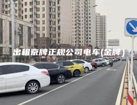 出租京牌正规公司电车(金牌）