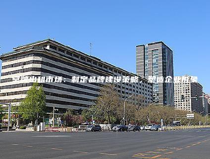 京牌出租市场：制定品牌建设策略，塑造企业形象