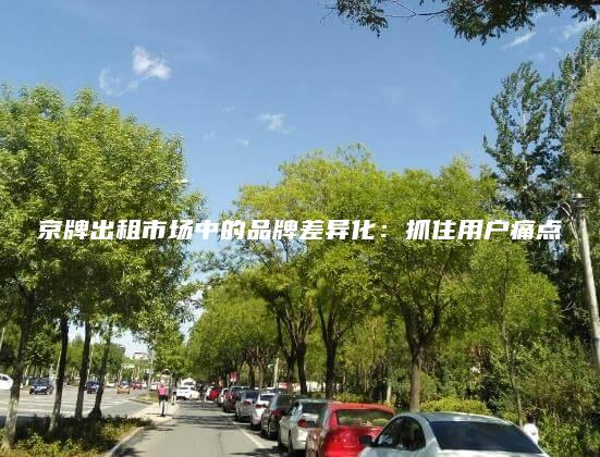 京牌出租市场中的品牌差异化：抓住用户痛点