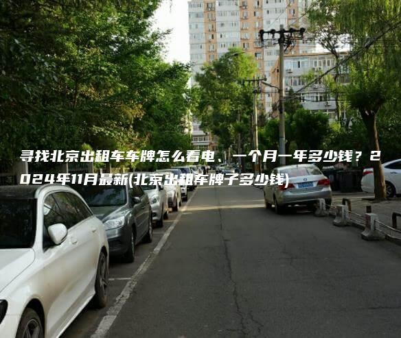 寻找北京出租车车牌怎么看电、一个月一年多少钱？2024年11月最新(北京出租车牌子多少钱)