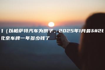 现在租（以帕萨特汽车为例子，2025年1月最新）个北京车牌一年多少钱了