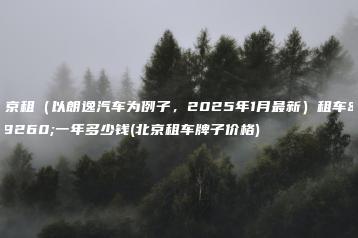 北京租（以朗逸汽车为例子，2025年1月最新）租车牌一年多少钱(北京租车牌子价格)