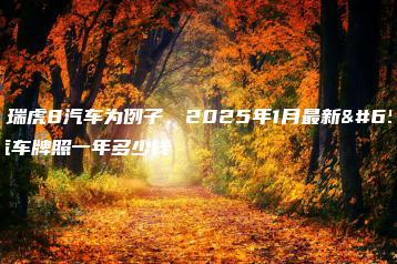 租（以瑞虎8汽车为例子，2025年1月最新）北京汽车牌照一年多少钱