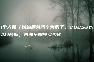 北京个人租（以帕萨特汽车为例子，2025年1月最新）汽油车牌号多少钱