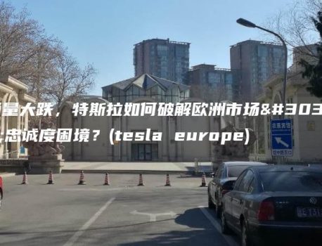 销量大跌，特斯拉如何破解欧洲市场的忠诚度困境？(tesla europe)